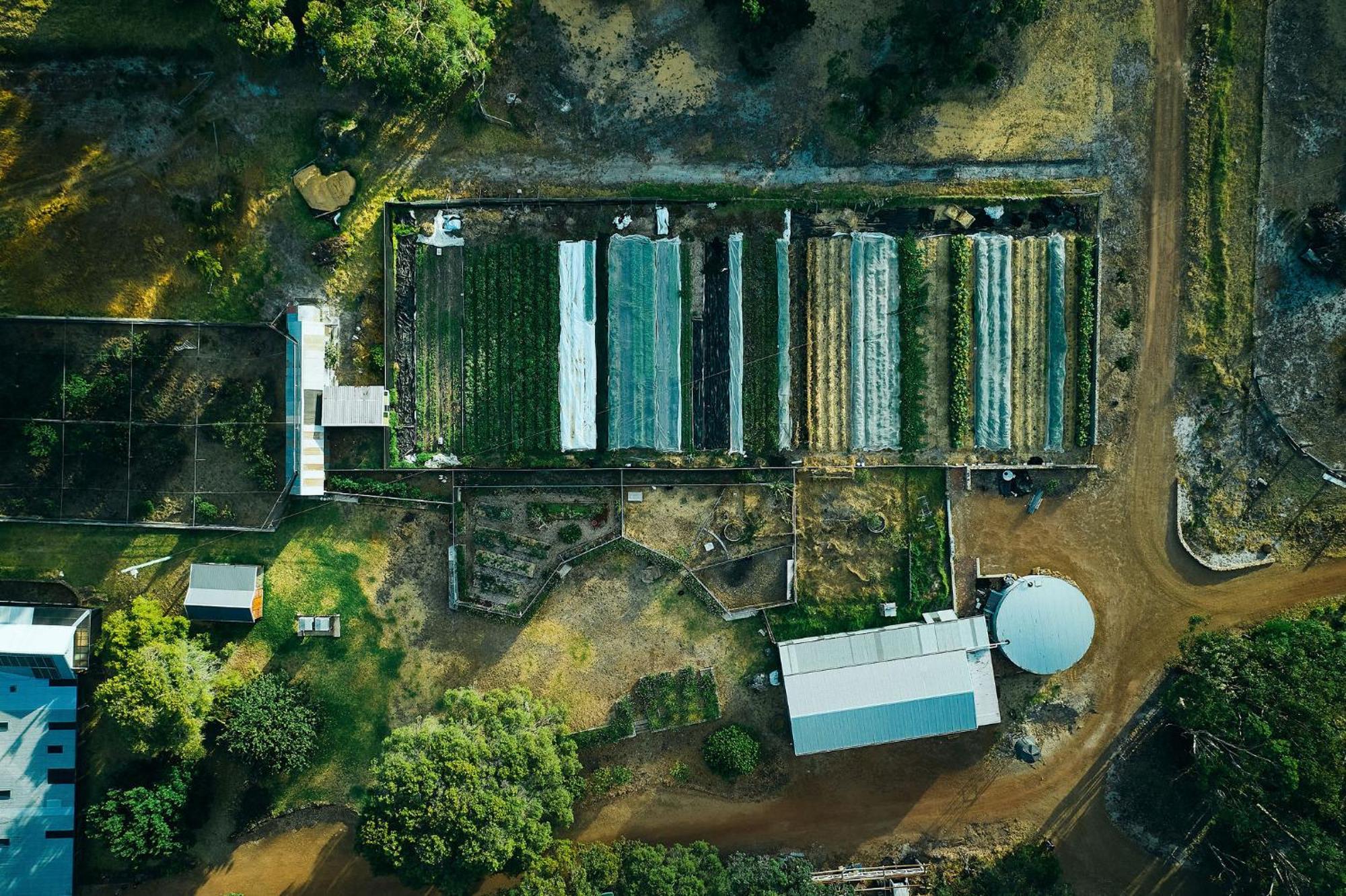 Villa Burnside Organic Farm Margaret River Esterno foto